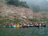 海津大崎　０７年４月８日 2007/04/08 00:58:00