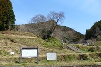 高城岳～三郎ガ岳。。。　１２０４０２