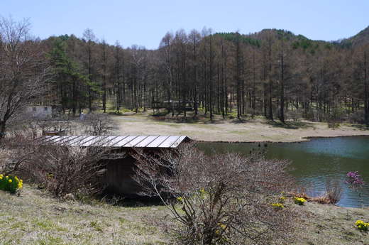 千代田湖キャンプ場（下見）