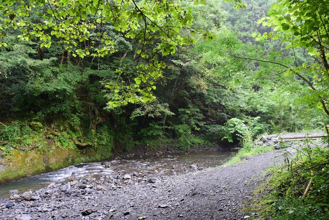 ぶらり秋川渓谷のキャンプ場　その2