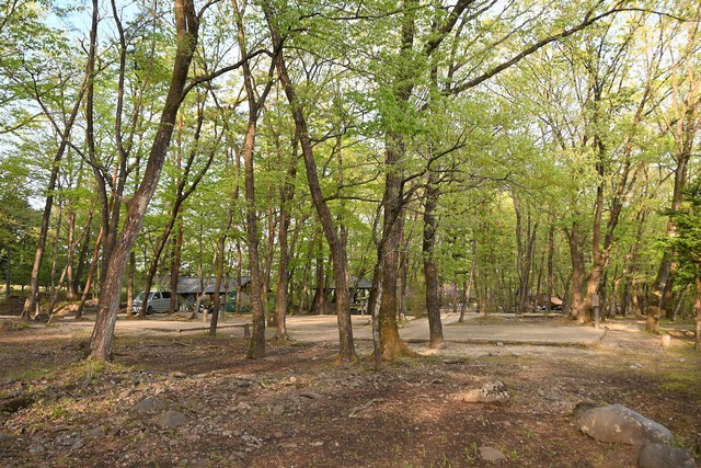 竹キャンプ、日光だいや川公園