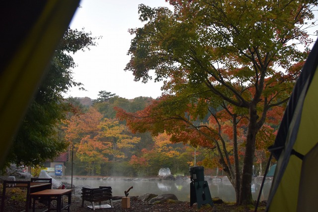 道志の森と紅葉と・・・