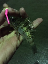 七尾遠征！！からの〜 2015/03/07 23:51:58