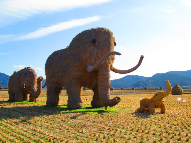 ハイエースの旅　〜年越しひとり旅〜