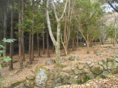 唐揚弁当焚き火ソロデイキャンプ2024冬(海田総合公園キャンプ場：無料)