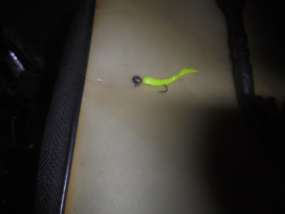 夜メバル2025(12)(13)(14)&白身魚フライのり弁(セイゴ)・甘酢あんかけ 夜メバル2025(12)(13)(14)&白身魚フライのり弁(セイゴ)・甘酢あんかけ