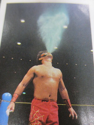 読書2022梅雨(週刊プロレス別冊：愚零闘武多)