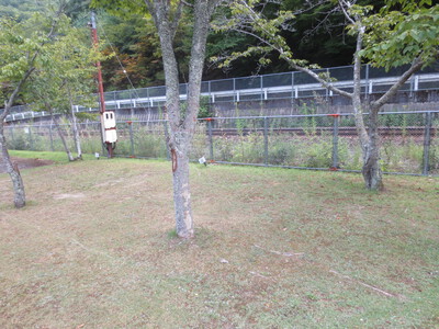 川涼み父娘キャンプ2022夏盆①(河佐峡キャンプ場)