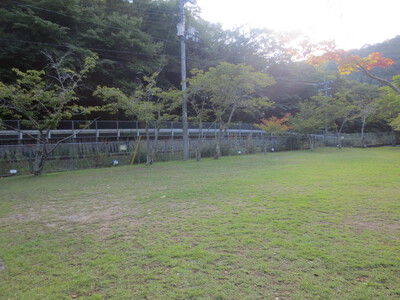 川涼み父娘キャンプ2022夏盆①(河佐峡キャンプ場)