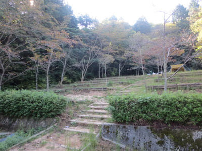 滝行ソロキャンプ2022秋(絵下山 深山の滝キャンプ場)