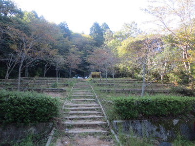 滝行ソロキャンプ2022秋(絵下山 深山の滝キャンプ場)