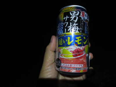 カレーナンソロキャンプ2022秋(海田総合公園キャンプ場)