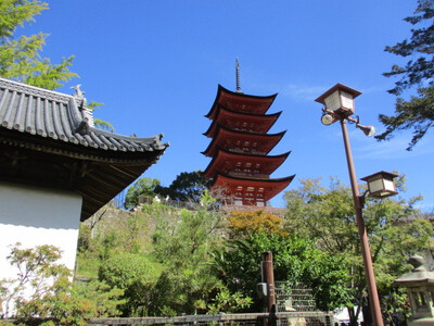 ノンストップ登山2023秋(宮島：弥山)