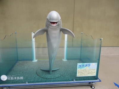 宮島水族館(みやじマリン)・タチウオ