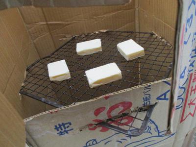 釣りもしたいソロキャンプ【一日目①】（大浦崎キャンプ場）