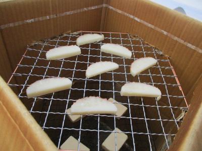 釣りもしたいソロキャンプ【一日目①】（大浦崎キャンプ場）