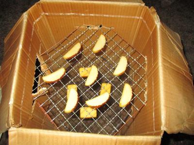 釣りもしたいソロキャンプ【一日目①】（大浦崎キャンプ場）