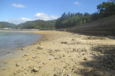広島県で一番低い山登山（江田島：茶臼山）
