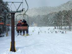 うっすら新雪に遊ぶ