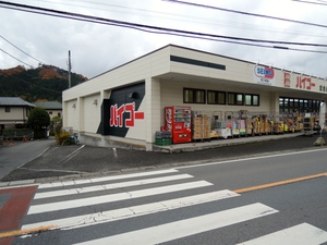 天覧山&多峯主山　飯能プチ縦走の巻