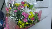花はお好き！？ 2014/09/04 00:09:33
