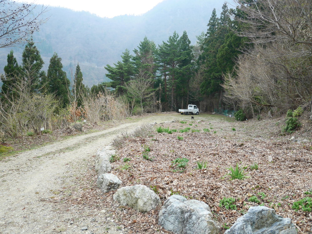 大自然を満喫 四国山岳植物園岳人の森キャンプ場