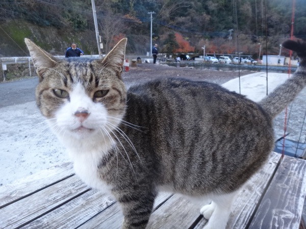 2022年　釣り納め　すその