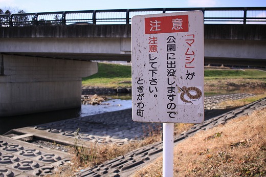 ときがわ川の広場納め