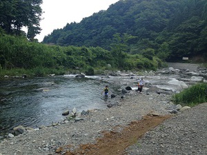 観光農園キャンプ場