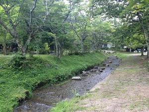 蛍がいる川