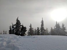 ブラックマウンテン 雪山ハイキング