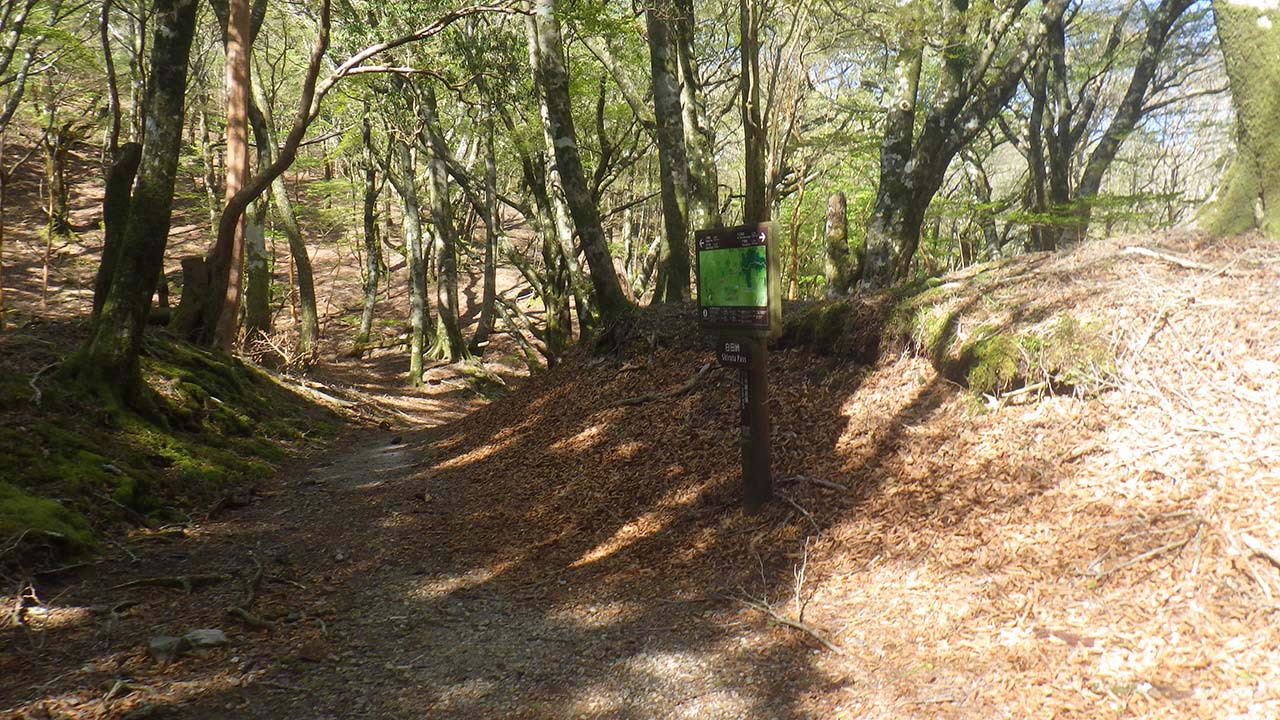 伊豆のヤマ巡りその1、天城山縦走路を歩く（2021.5.3）