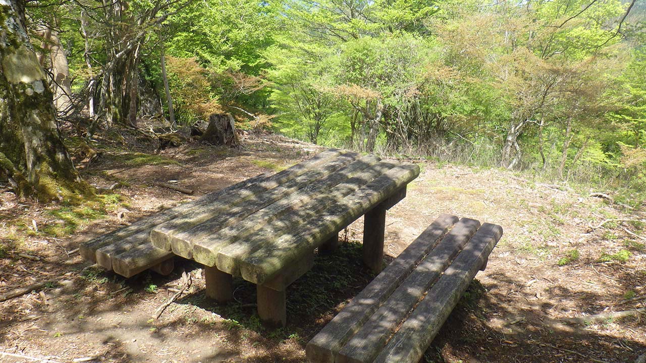 伊豆のヤマ巡りその1、天城山縦走路を歩く（2021.5.3）