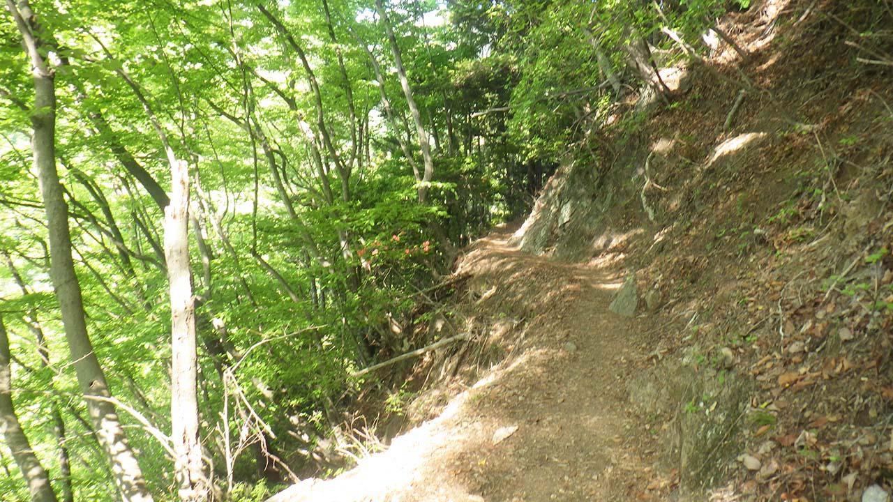 GW後半戦は奥秩父の百名山・両神山へ（2022.5.4〜5）