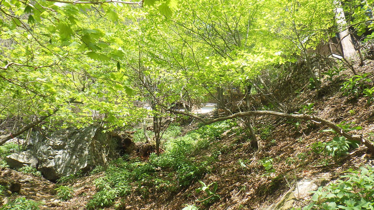GW後半戦は奥秩父の百名山・両神山へ（2022.5.4〜5）