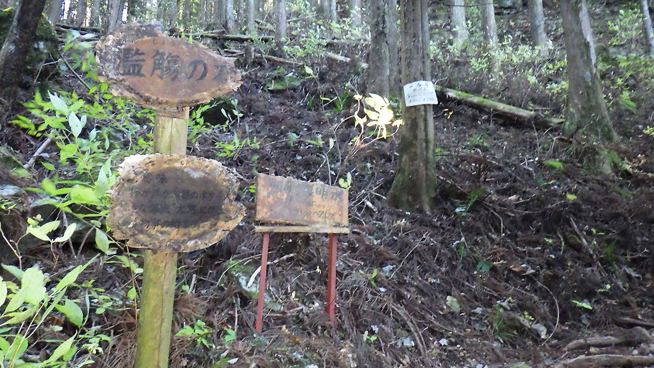 三ツ瀬明神山・三ツ瀬口コースより (2016.12.10)