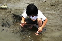 シジミ採り 2008/06/14 12:43:53