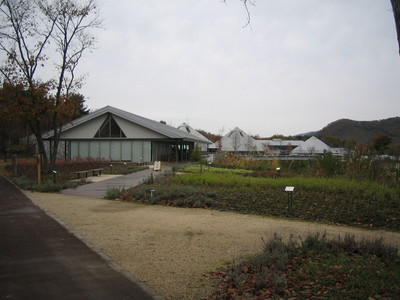 紅葉キャンプ　その③