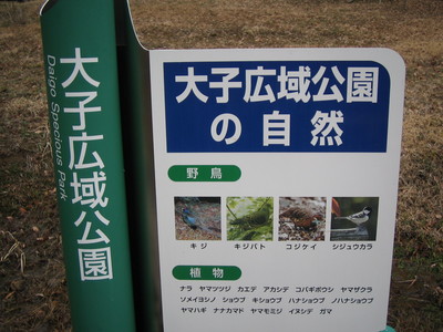 早春茨城キャンプ　パート②