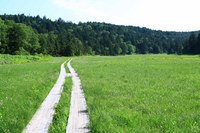涙、涙の2,000m級　あとがき