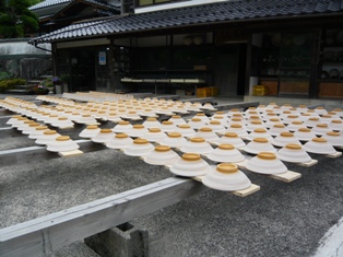 癒されて②