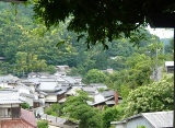 癒されて①
