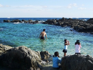 島旅☆屋久島①　