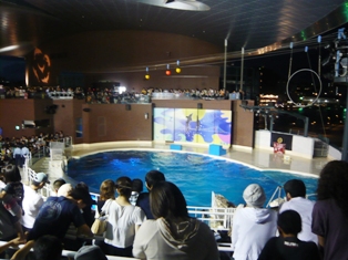 海響館