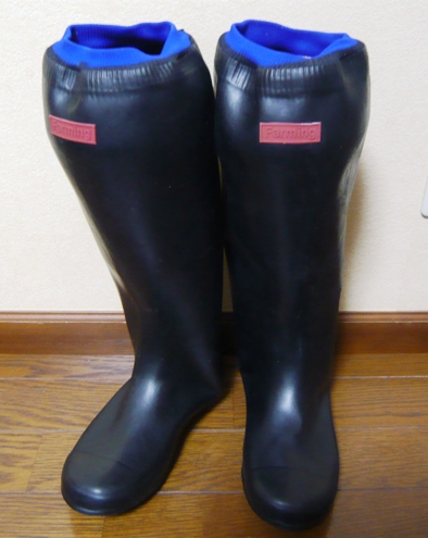 買っちゃった
