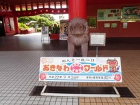 沖縄旅行　2010②