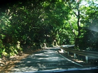 島旅☆屋久島①　