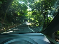 島旅☆屋久島①　
