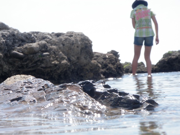 やくしま・２０１０・夏（３日目：再び海遊び）