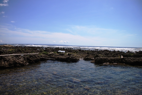やくしま・２０１０・夏（３日目：再び海遊び）